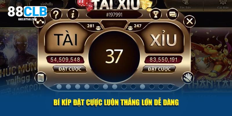 Bí kíp đặt cược luôn thắng lớn dễ dàng