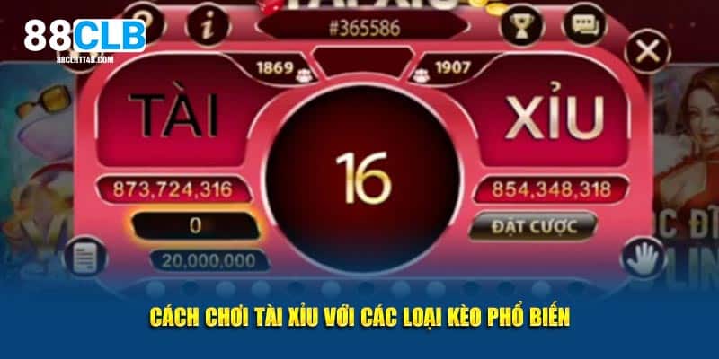 Cách chơi tài xỉu với các loại kèo phổ biến