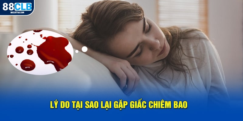 Lý do tại sao lại gặp giấc chiêm bao 