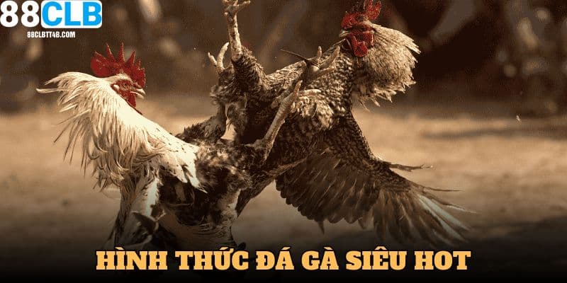 Hình thức thi đấu đá gà 4K